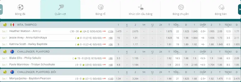 Giới thiệu về quần vợt 22bet