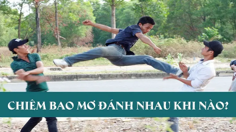 Chiêm bao mơ đánh nhau khi nào?