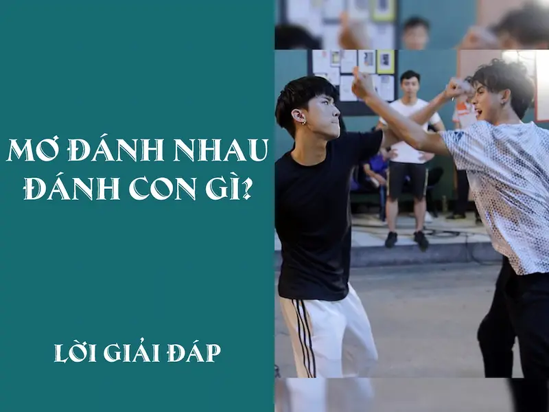 Mơ đánh nhau đánh con gì - Chiêm bao dự đoán con số từ giấc mơ