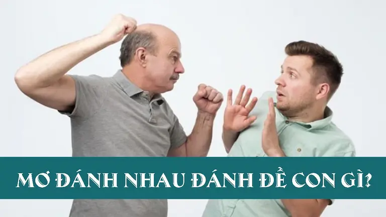 Mơ đánh nhau đánh đề con gì 