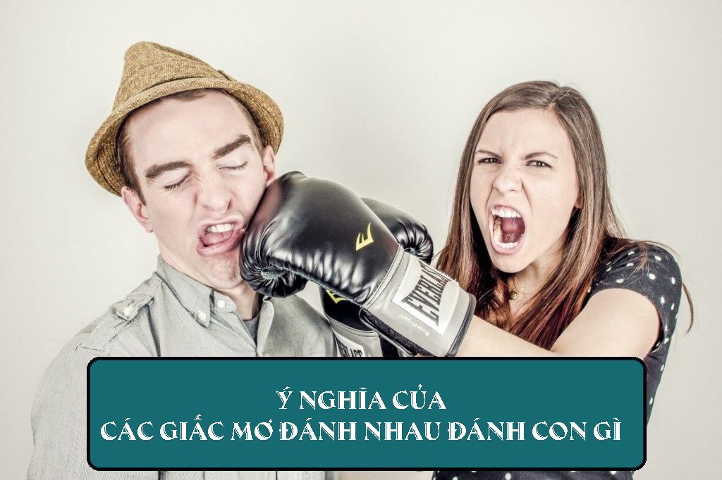 Ý nghĩa của các giấc mơ đánh nhau đánh con gì