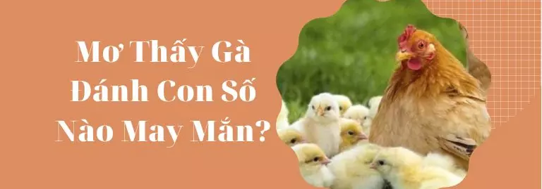 Giải mã những con số đặc biệt khi nằm mơ thấy gà 