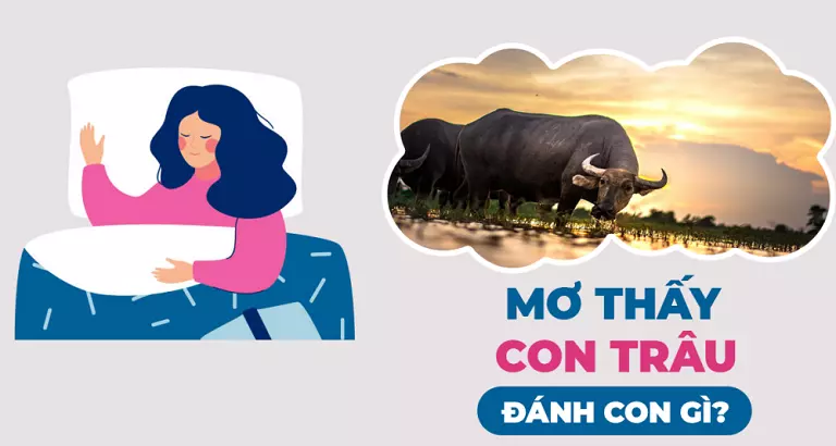 Tìm hiểu ngay những con số của giấc mơ thấy trâu
