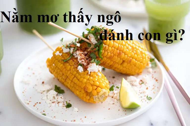 nằm mơ thấy ngô đánh số gì?