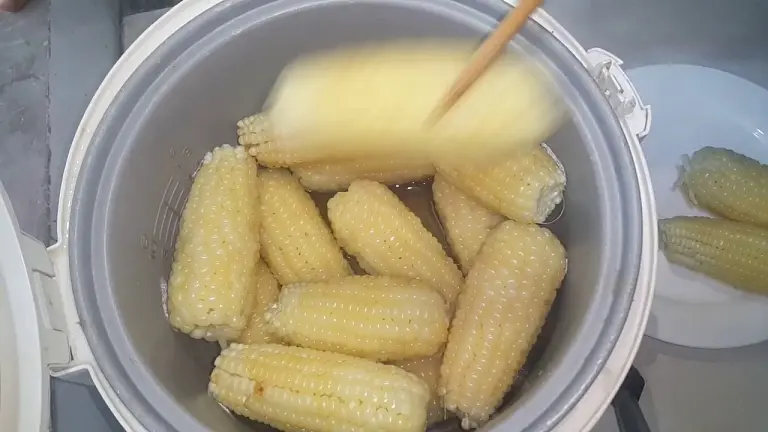 Giấc mơ ngô luộc 