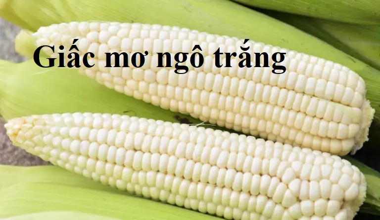 Một số giấc mơ khác có liên quan đến ngô