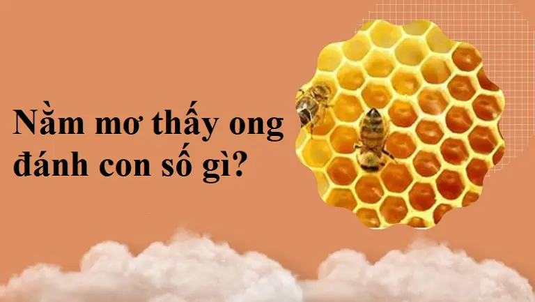 Những con số may mắn của giấc mơ thấy ong