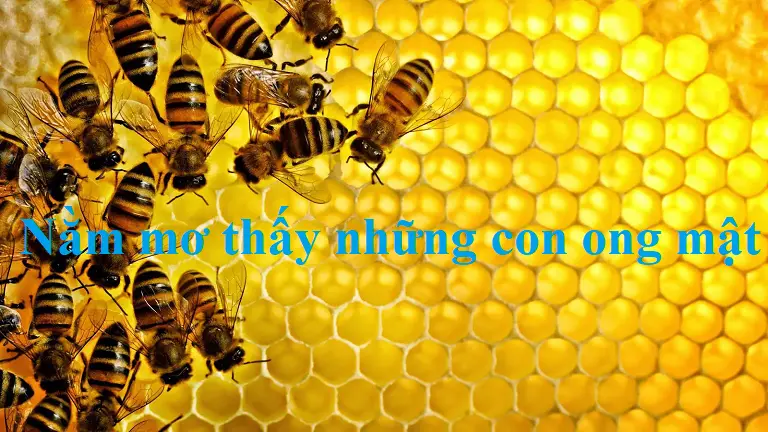Giải mã ý nghĩa những giấc mơ thấy ong thường gặp 
