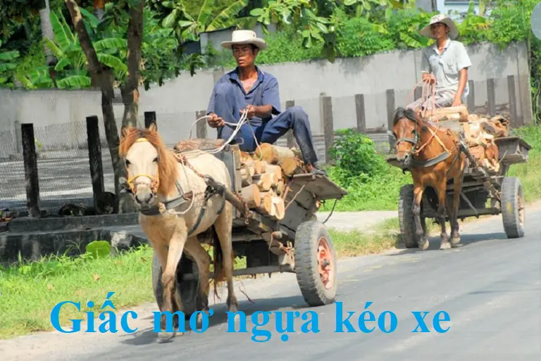 Nằm mơ thấy ngựa là điềm tốt hay điềm xấu?