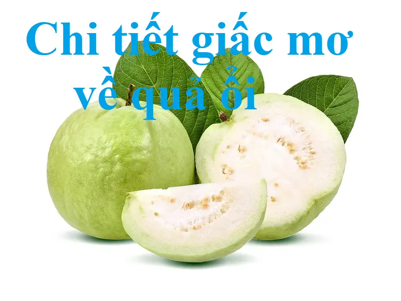 Nằm mơ thấy ổi – Điềm báo hên xui cùng những con số liên quan