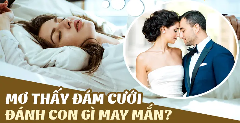 Nếu mơ thấy đám cưới thì nên đặt cược vào con số nào?