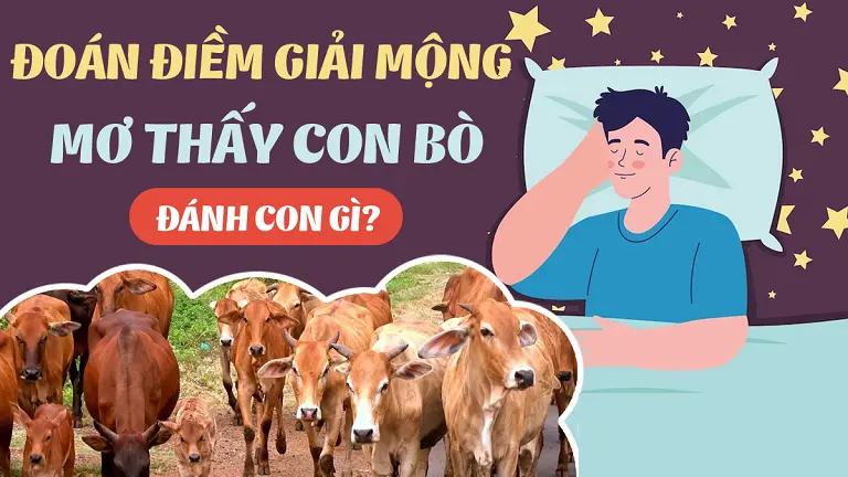 Nếu nằm mơ thấy bò thì nên đặt cược vào con số nào để kiếm tiền?