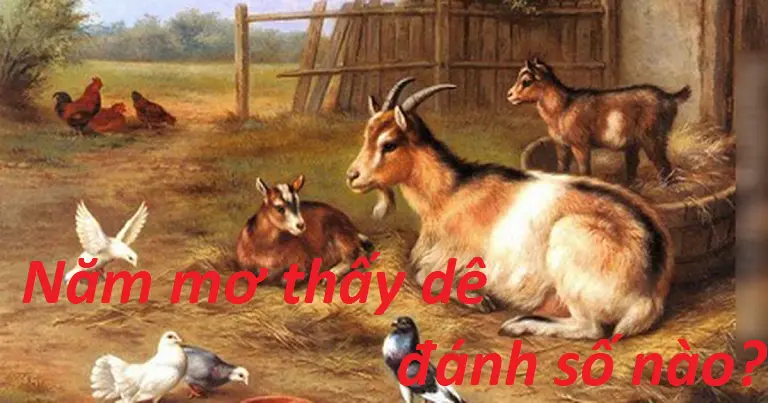 Nằm mơ thấy dê con số nào có tỷ lệ thắng cao