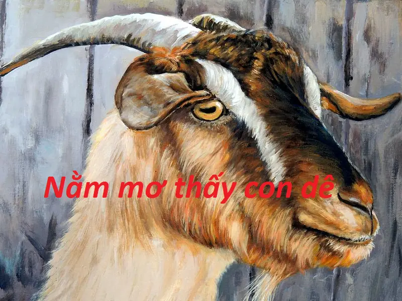 Nằm mơ thấy dê - Bật mí những bí ẩn đến từ tương lai? Đánh số gì may mắn?