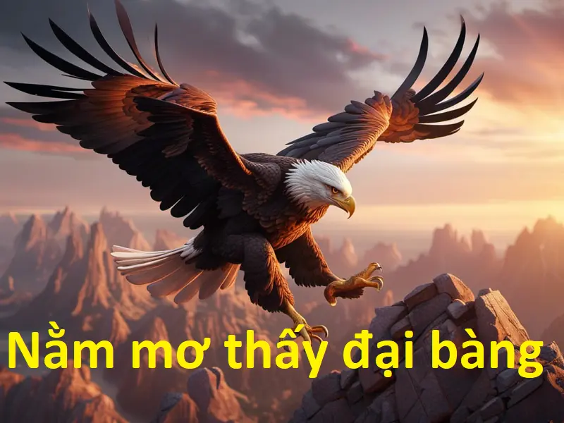 Mơ thấy đại bàng – Giải mã điềm báo hên xui cho người nằm mơ