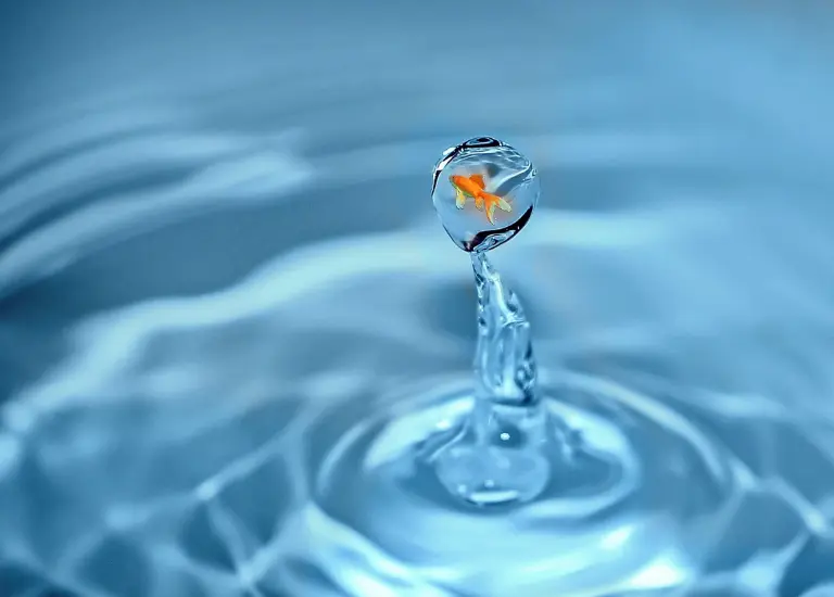 Ngủ mơ thấy nước thì đánh con số nào trúng lớn