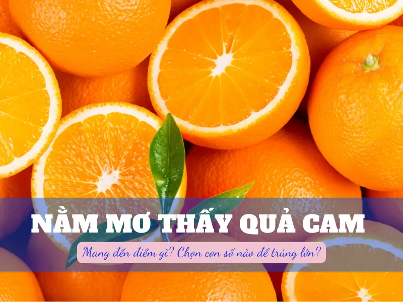 Nằm mơ thấy quả cam thì nên đánh số mấy? Điềm báo gì liên quan không?