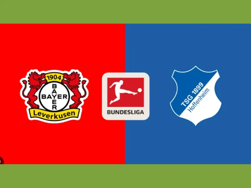 Nhận định bóng đá Leverkusen vs Hoffenheim, Vào lúc 23h30 ngày 2/2